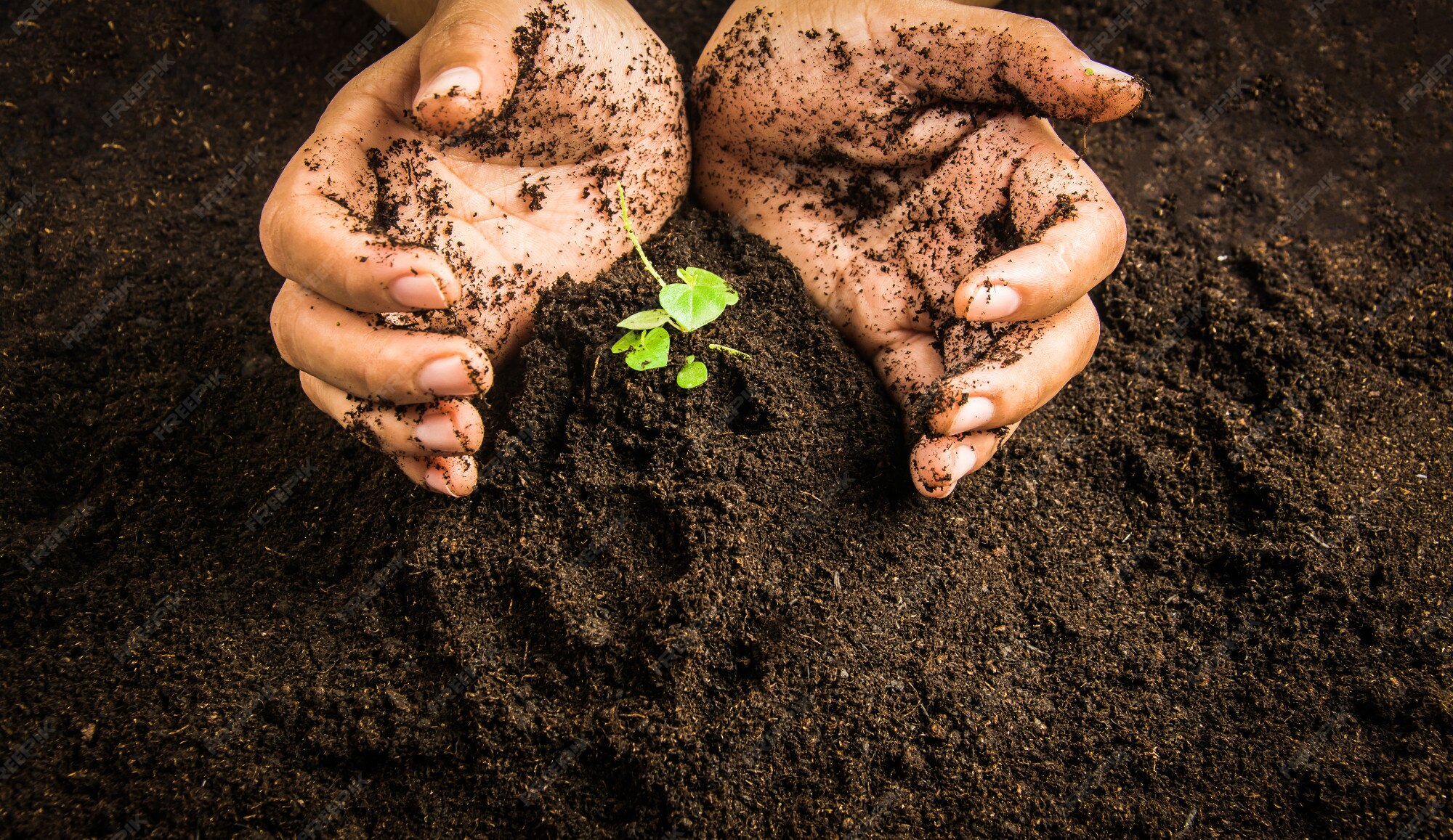 Gardening 1