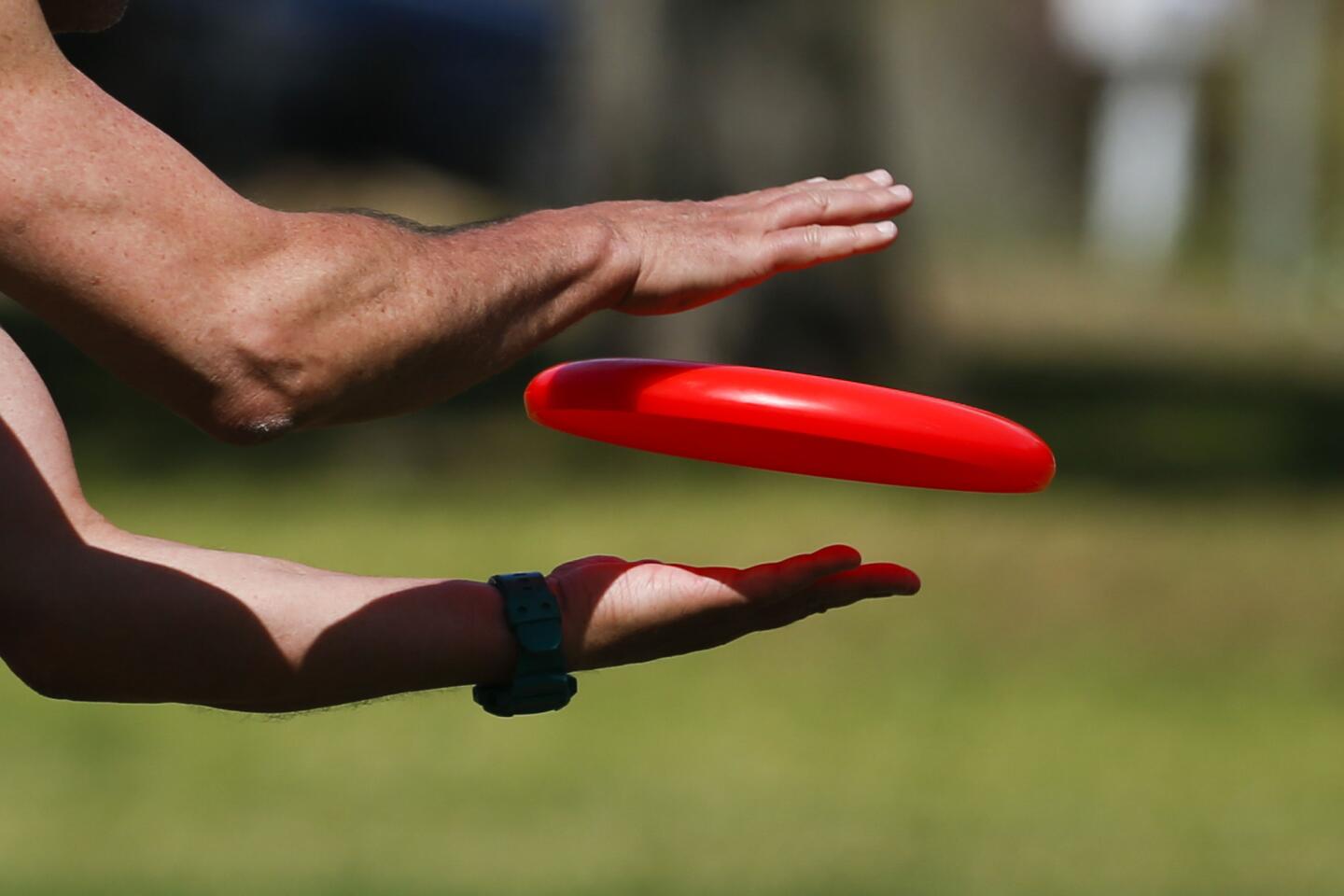 Ultimate Frisbee 1